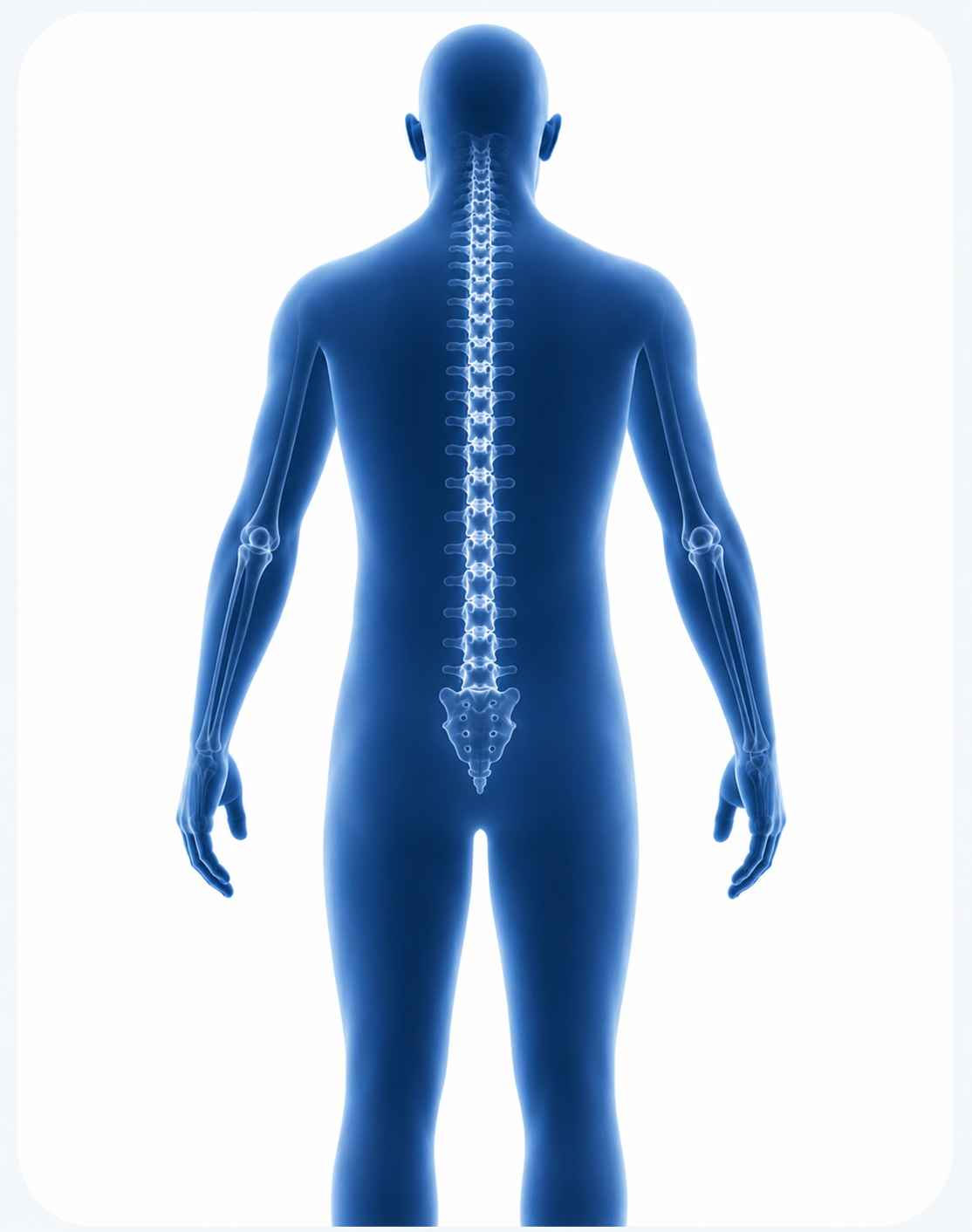 Interactive body pain map